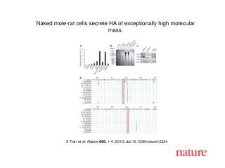 X Tian et al. Nature 000 , 1-4 (2013) doi:10.1038/nature 12234