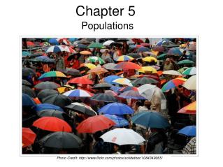 Chapter 5