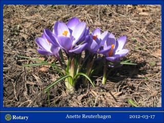 Anette Reuterhagen 2012-03-17