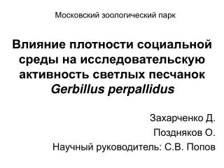 Захарченко Д. Поздняков О. Научный руководитель: С.В. Попов