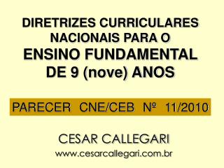 DIRETRIZES CURRICULARES NACIONAIS PARA O ENSINO FUNDAMENTAL DE 9 (nove) ANOS