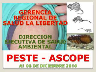 PESTE - ASCOPE Al 08 DE DICIEMBRE 2010