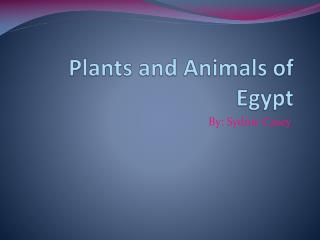 Plants and Animals of Egypt