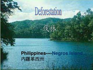 Deforestation