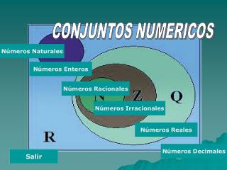 CONJUNTOS NUMERICOS