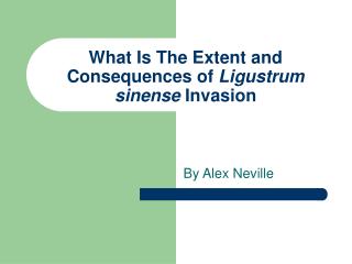 What Is The Extent and Consequences of Ligustrum sinense Invasion