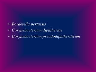 Bordetella pertussis Corynebacterium diphtheriae Corynebacterium pseudodiphtheriticum