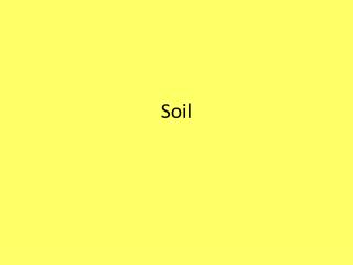 Soil