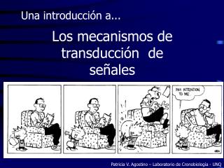 Los mecanismos de transducción de señales