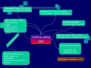 Celična stena les