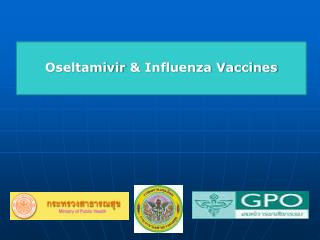 Oseltamivir &amp; Influenza Vaccines