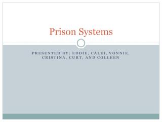 Prison Systems