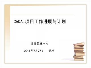 CADAL 项目工作进展与计划