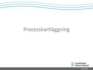 Processkartläggning