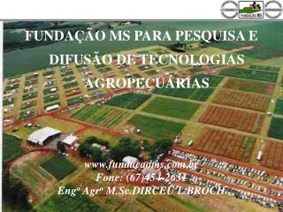 FUNDAÇÃO MS PARA PESQUISA E DIFUSÃO DE TECNOLOGIAS AGROPECUÁRIAS fundacaoms.br