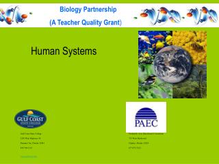 Human Systems