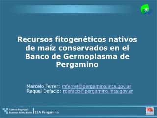 Recursos fitogenéticos nativos de maíz conservados en el Banco de Germoplasma de Pergamino