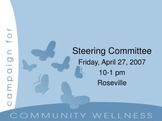 Steering Committee Friday, April 27, 2007 10-1 pm Roseville