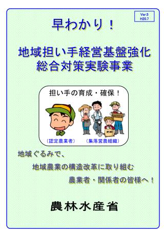 地域担い手経営基盤強化　　総合対策実験事業