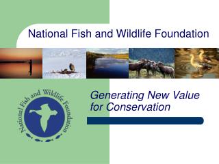 National Fish and Wildlife Foundation