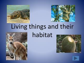 Living things and their habitat