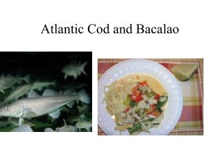 Atlantic Cod and Bacalao