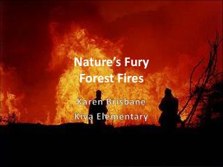 Nature’s Fury Forest Fires