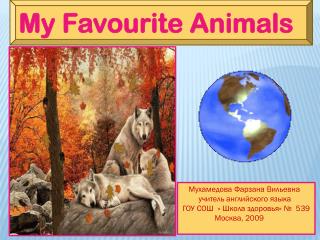 My Favourite Animals