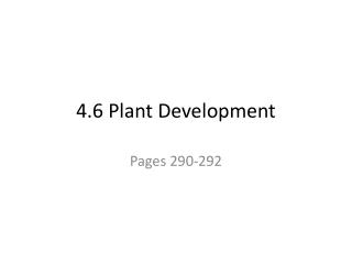 4.6 Plant Development