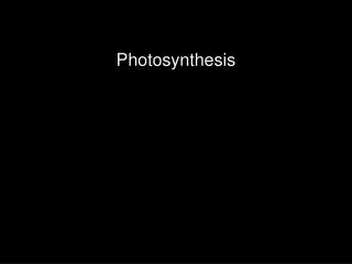 Photosynthesis