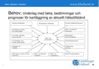 Behov; Underlag med fakta, bedömningar och prognoser för kartläggning av aktuellt hälsotillstånd