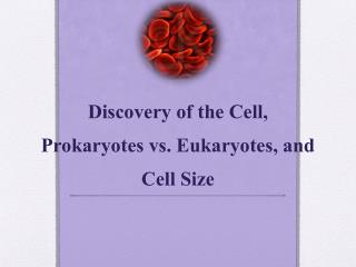 Discovery of the Cell, Prokaryotes vs. Eukaryotes, and Cell Size