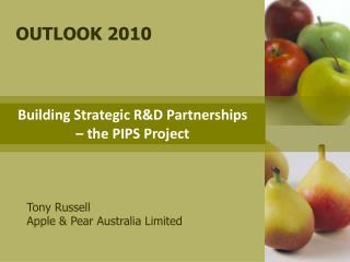 Building Strategic R&amp;D Partnerships – the PIPS Project