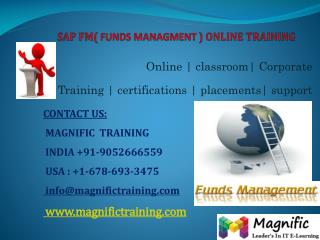SAP FM ONLINE TRAINING IN AUSTRALIA