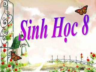 Sinh Học 8