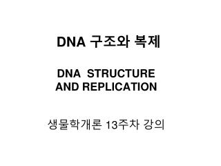 DNA 구조와 복제