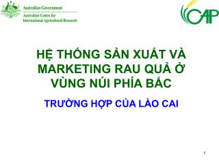 HỆ THỐNG SẢN XUẤT VÀ MARKETING RAU QUẢ Ở VÙNG NÚI PHÍA BẮC