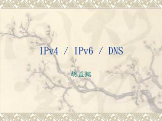 IPv4 / IPv6 / DNS