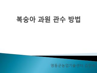 복숭아 과원 관수 방법