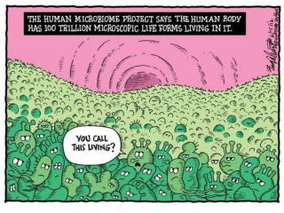 The Human Microbiome