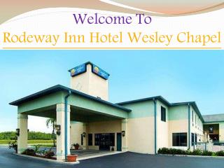 Rodeway Inn Hotel Wesley Chapel