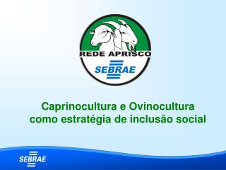 Caprinocultura e Ovinocultura como estratégia de inclusão social