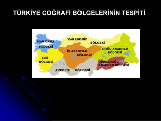 TÜRKİYE COĞRAFİ BÖLGELERİNİN TESPİTİ