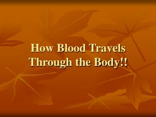 How Blood Travels Through the Body!!