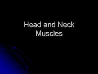 Head and Neck Muscles