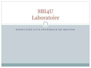 SBI4U Laboratoire