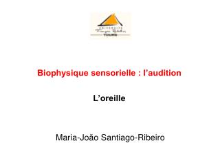 Biophysique sensorielle : l’audition L’oreille