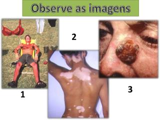 Observe as imagens