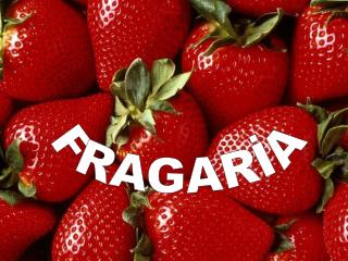 FRAGARİA