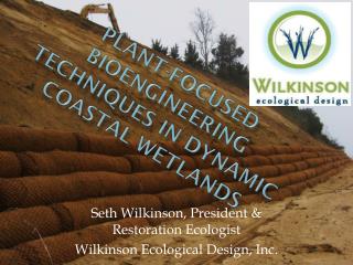 Plant-Focused Bioengineering Techniques in dynamic coastal wetlands